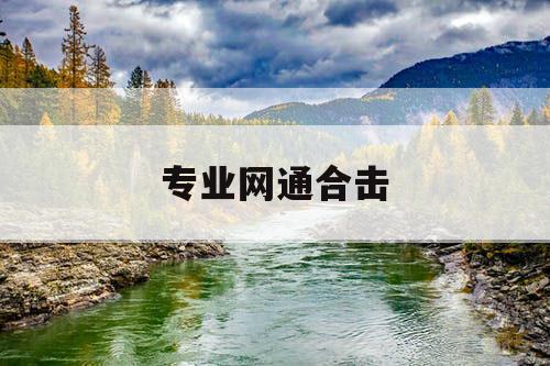 专业网通合击