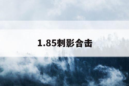 1.85刺影合击