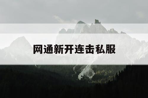 网通新开连击私服 网通新开连击私服