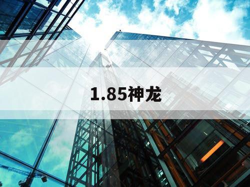 1.85神龙