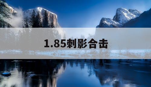 1.85刺影合击
