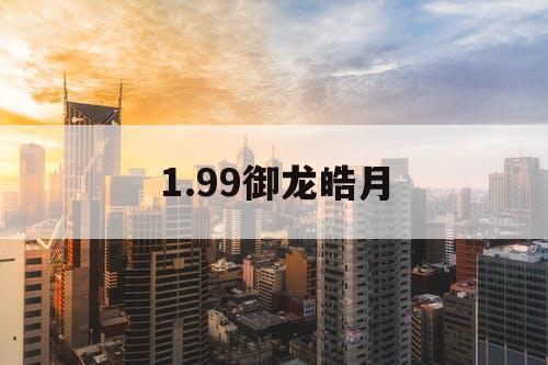 1.99御龙皓月