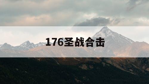 176圣战合击