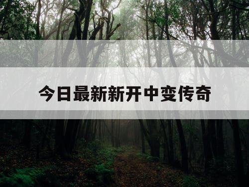 今日最新新开中变传奇