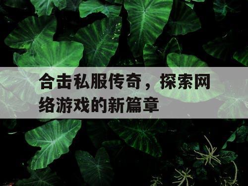 合击私服传奇，探索网络游戏的新篇章