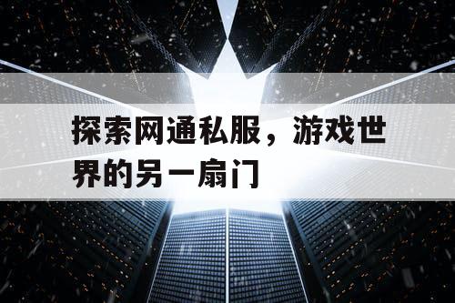 探索网通私服，游戏世界的另一扇门