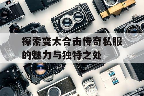 探索变太合击传奇私服的魅力与独特之处