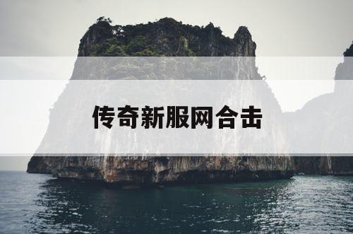 传奇新服网合击