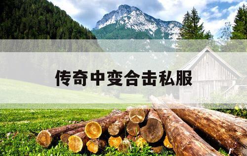 传奇中变合击私服