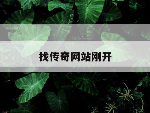 找传奇网站刚开