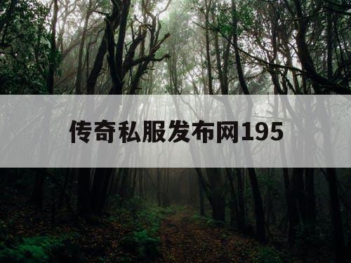 传奇私服发布网195