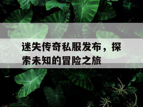迷失传奇私服发布，探索未知的冒险之旅