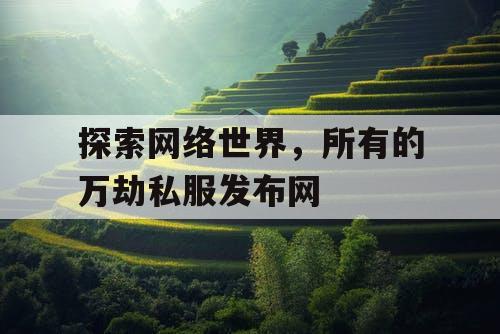 探索网络世界，所有的万劫私服发布网