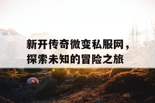 新开传奇微变私服网，探索未知的冒险之旅