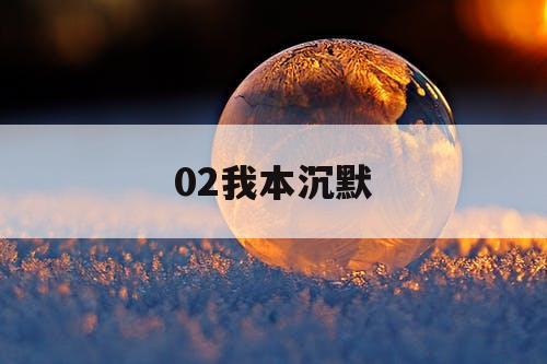 02我本沉默