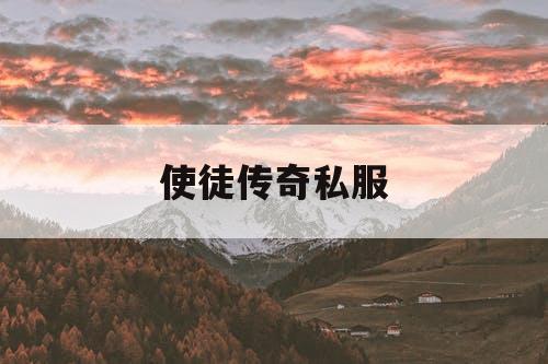 使徒传奇私服