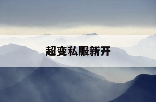 超变私服新开