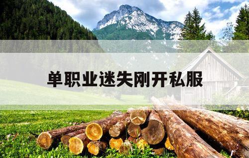 单职业迷失刚开私服