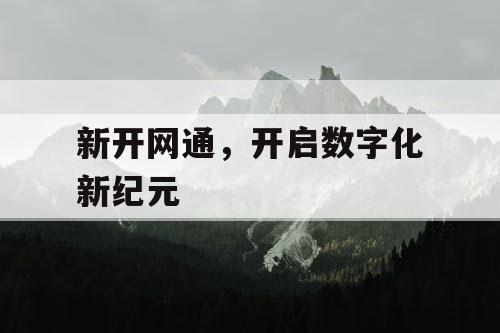新开网通,开启数字化新纪元 新开网通,开启数字化新纪元