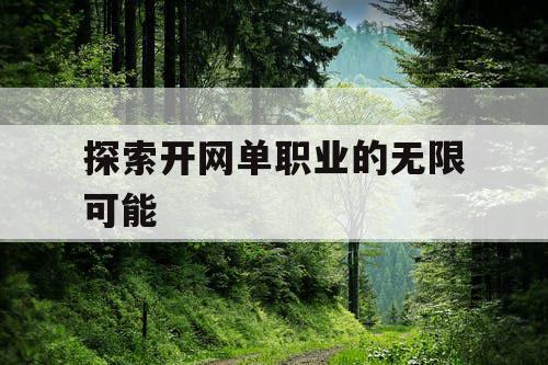 探索开网单职业的无限可能 探索开网单职业的无限可能