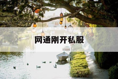 网通刚开私服