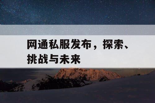 网通私服发布，探索、挑战与未来