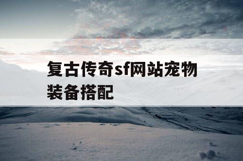 复古传奇sf网站宠物装备搭配 复古传奇sf网站宠物装备搭配