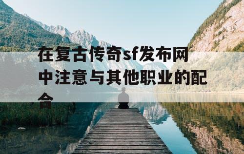 在复古传奇sf发布网中注意与其他职业的配合 在复古传奇sf发布网中注意与其他职业的配合