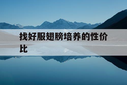 找好服翅膀培养的性价比 找好服翅膀培养的性价比